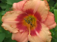 016.webp