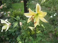 046.webp