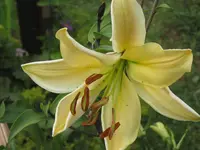 047.webp