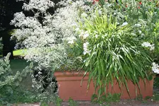 IMG_2192 - Kopie.webp