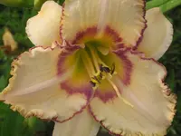 014.webp