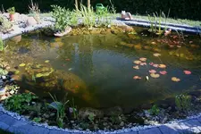 glasklares Wasser2.webp