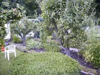 Garten8.webp