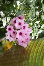 IMG_5150.webp