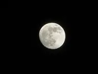 DSC02268.webp