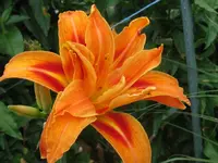IMG_kwanzo_1024x768.webp