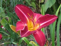 IMG_siera madre._1024x768.webp