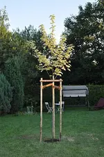 garten1.webp garten1.webp