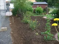 teichbeet grenze.webp