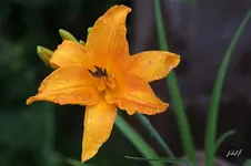 blog_1015-Mauna-Baby-II.webp