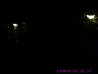 PIC01119.webp