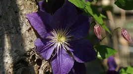 DSC03602.webp