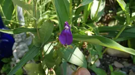 DSC03596.webp
