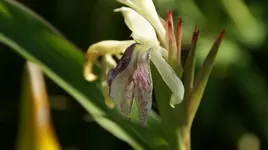 DSC03597.webp