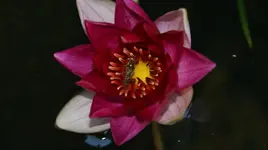 DSC03612.webp