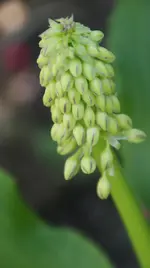 DSC03609.webp