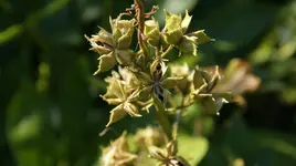 DSC03610.webp