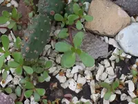 DSCF8129.webp