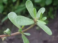 DSCF8134.webp