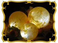 13387.webp