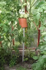 Garten 024.webp