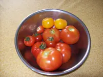 100_1413.webp