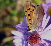 von-wegen-blau-a18695674.webp