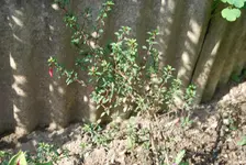 DSC_0022.webp