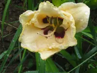 IMG_albert209_1024x768.webp