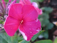 IMG_8684_1024x768.webp