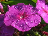 IMG_8693_1024x768.webp
