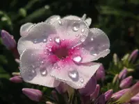 IMG_8696_1024x768.webp