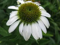 IMG_8886_1024x768.webp