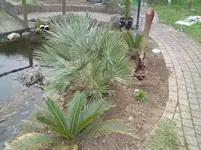 DSC00798.webp