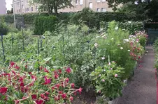 Garten 035.webp