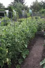Garten 036.webp