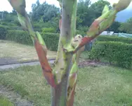 Foto_071210_003.webp