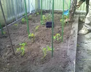 Foto_050410_006.webp