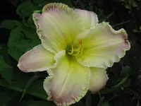 IMG_albert216_1024x768.webp