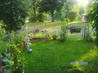 BILD2716.webp