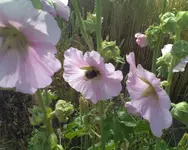Foto_072710_017.webp