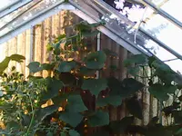 Img00074 (2).webp