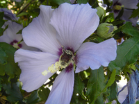 001.webp
