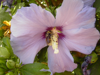 002.webp