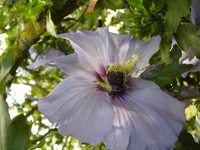 003.webp