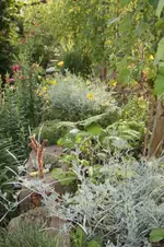 Garten.webp