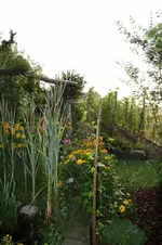 Garten (2).webp