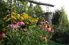 Garten (3).webp
