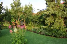 Garten (4).webp
