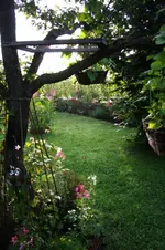 Garten (7).webp
